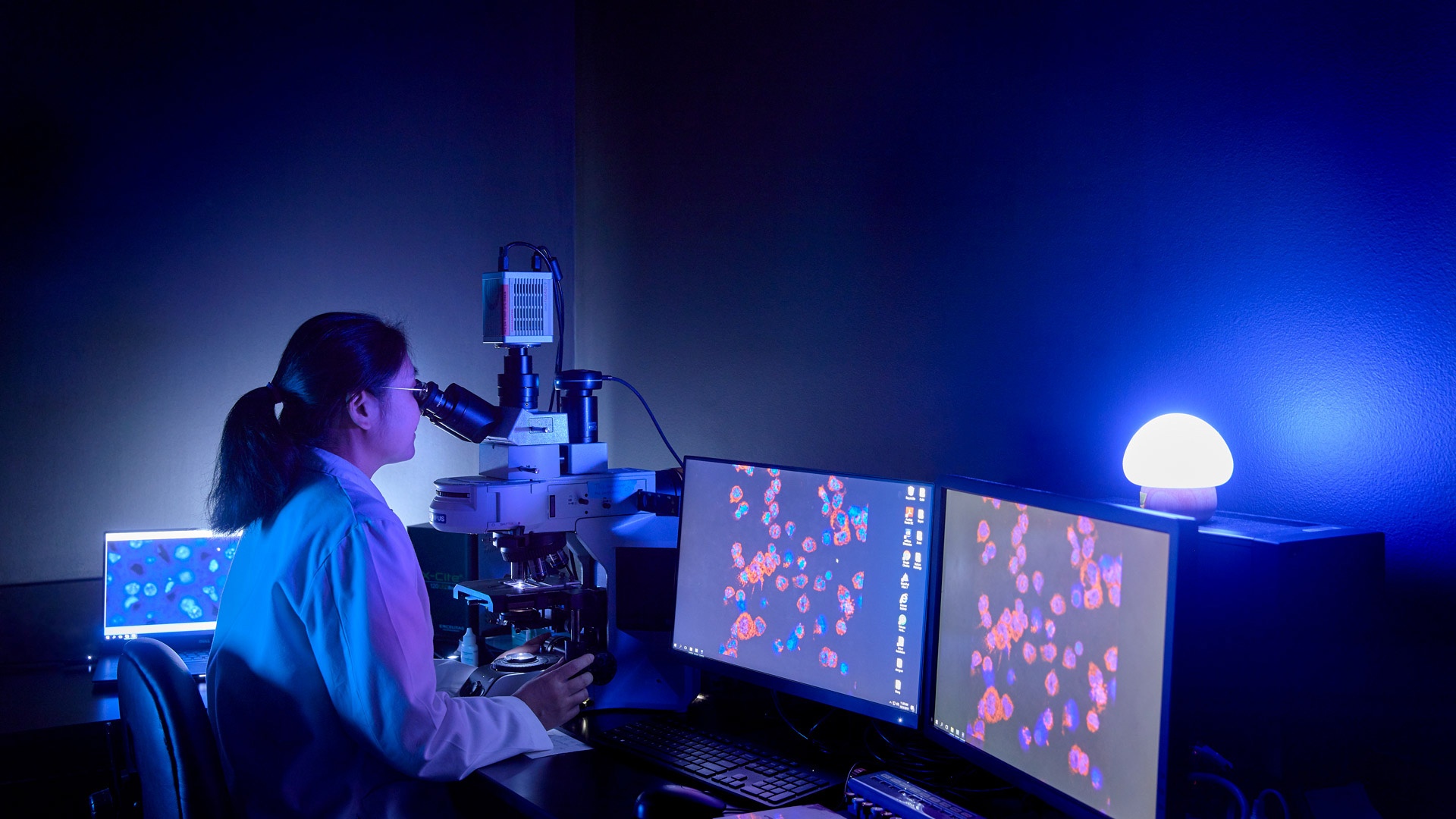 Scientist in lab coat using microscope with dual monitors displaying fluorescent cell images in a dark laboratory.