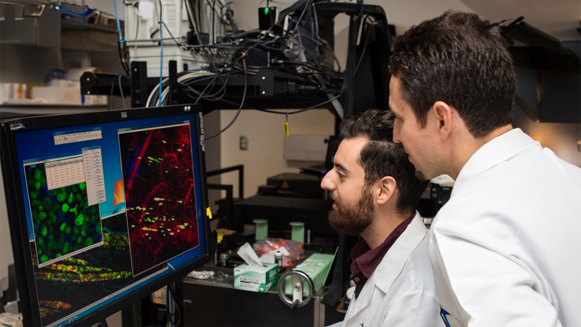 Two researchers in lab coats analyzing fluorescent microscopy images on a large computer monitor in a laboratory.